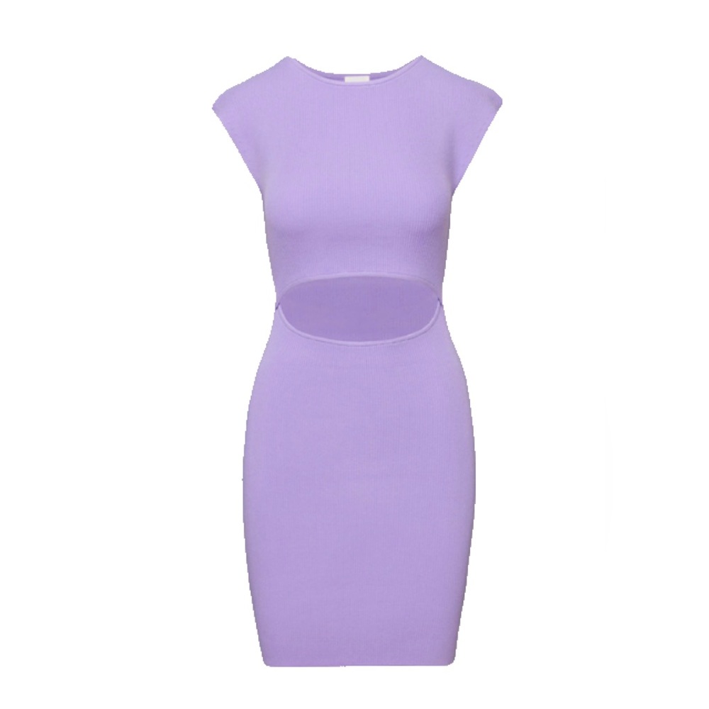 Aritzia Wilfred Cut Out Mini Dress in Lavindin Size M